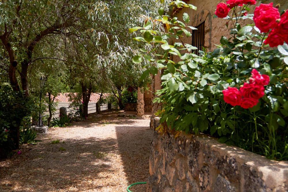 Casas Rurales Amable- Yeste Cortijo Prados المظهر الخارجي الصورة